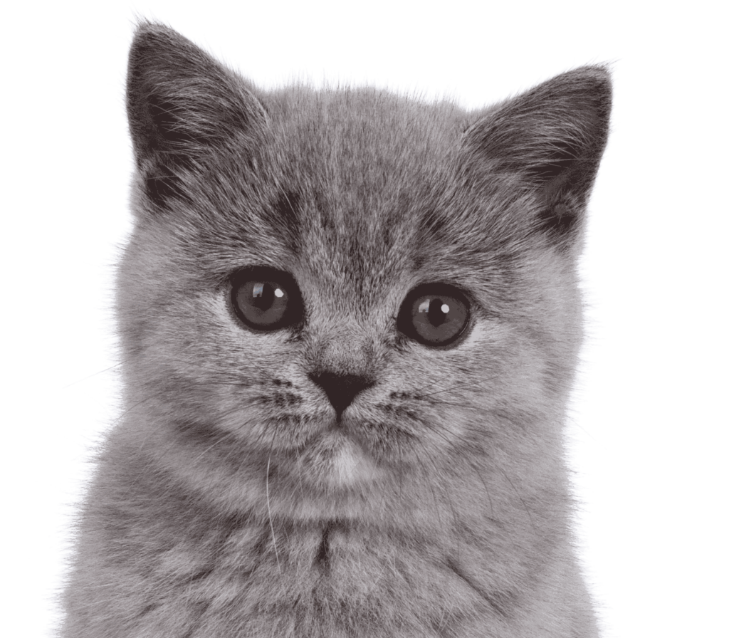 una luz de esperanza