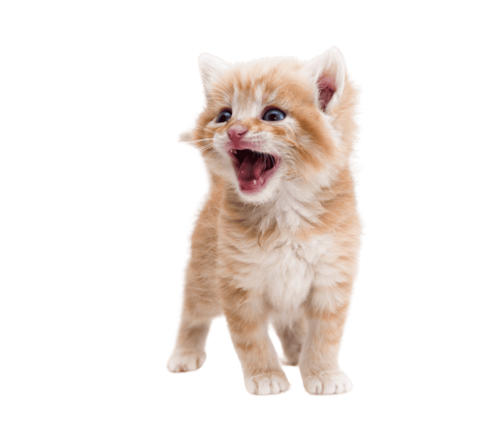 El PIF tiene cura - una luz de esperanza