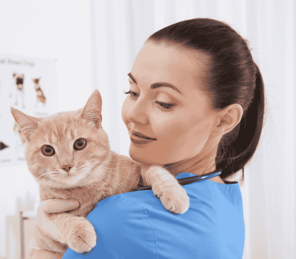 Supervisión veterinaria