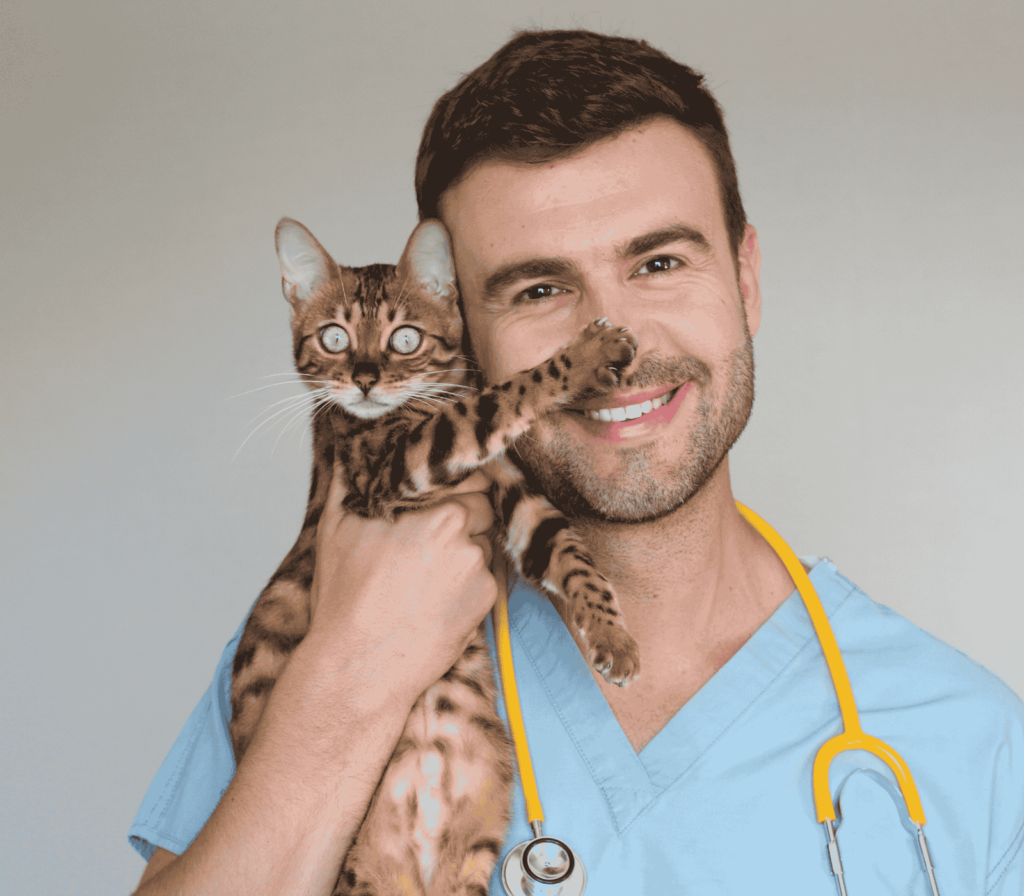 necesitas mas información sobre los estudios